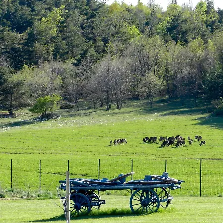 Casa vacanze Holiday Aubignane La Bastide Du Père Marius Revest-du-Bion