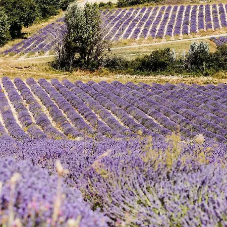 Casa vacanze Holiday Aubignane La Bastide Du Père Marius